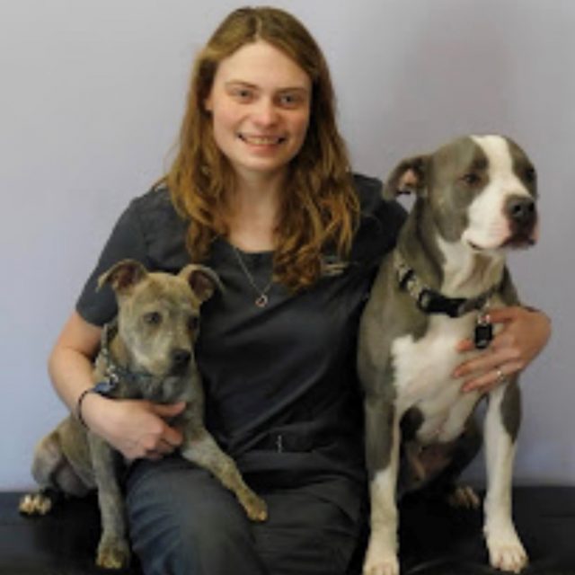 Team Vet in Flagstaff Naz Pet Emergency