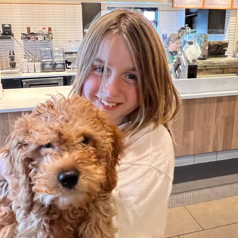 Veterinarian in Flagstaff Vet Near You Naz Pet Emergency